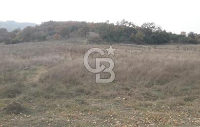 ÇANAKKALE BİGA GÜRÇEŞME KÖYÜNDE SATILIK ÇİFTLİK ARAZİSİ