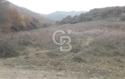ÇANAKKALE BİGA GÜRÇEŞME KÖYÜNDE SATILIK ÇİFTLİK ARAZİSİ
