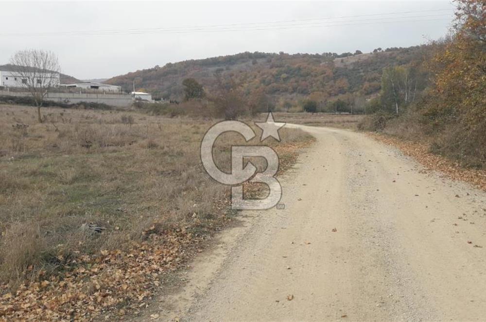 ÇANAKKALE BİGA GÜRÇEŞME KÖYÜNDE SATILIK ÇİFTLİK ARAZİSİ