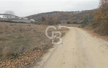 ÇANAKKALE BİGA GÜRÇEŞME KÖYÜNDE SATILIK ÇİFTLİK ARAZİSİ