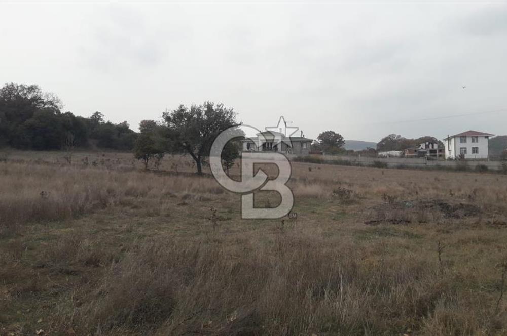 ÇANAKKALE BİGA GÜRÇEŞME KÖYÜNDE SATILIK ÇİFTLİK ARAZİSİ