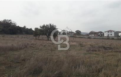 ÇANAKKALE BİGA GÜRÇEŞME KÖYÜNDE SATILIK ÇİFTLİK ARAZİSİ