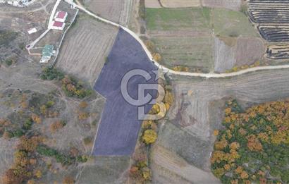 ÇANAKKALE BİGA GÜRÇEŞME KÖYÜNDE SATILIK ÇİFTLİK ARAZİSİ