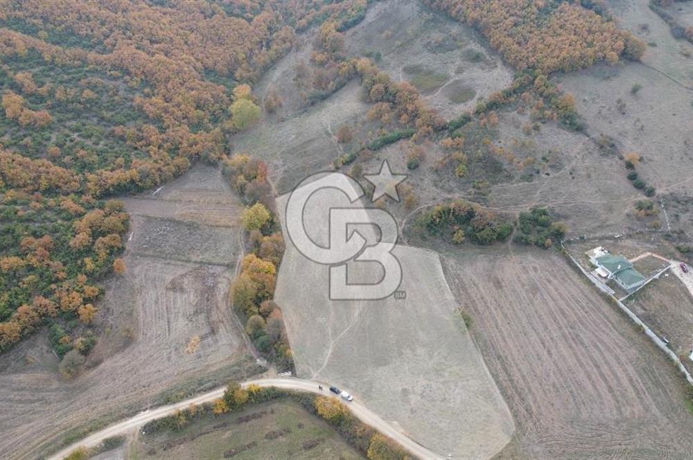 ÇANAKKALE BİGA GÜRÇEŞME KÖYÜNDE SATILIK ÇİFTLİK ARAZİSİ
