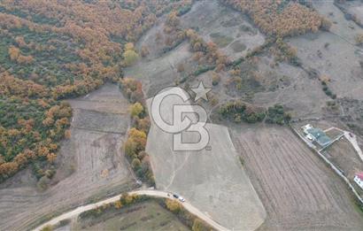 ÇANAKKALE BİGA GÜRÇEŞME KÖYÜNDE SATILIK ÇİFTLİK ARAZİSİ
