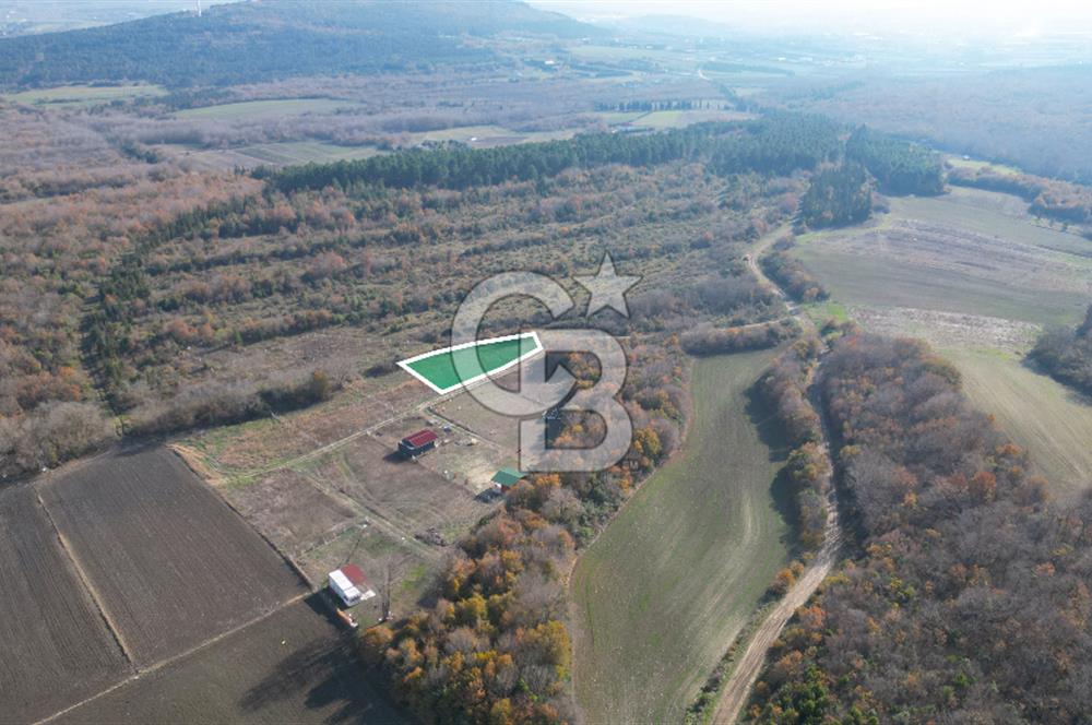 ÇATALCA AKALAN MAHALLESİ SATILIK 1050m² ARSA