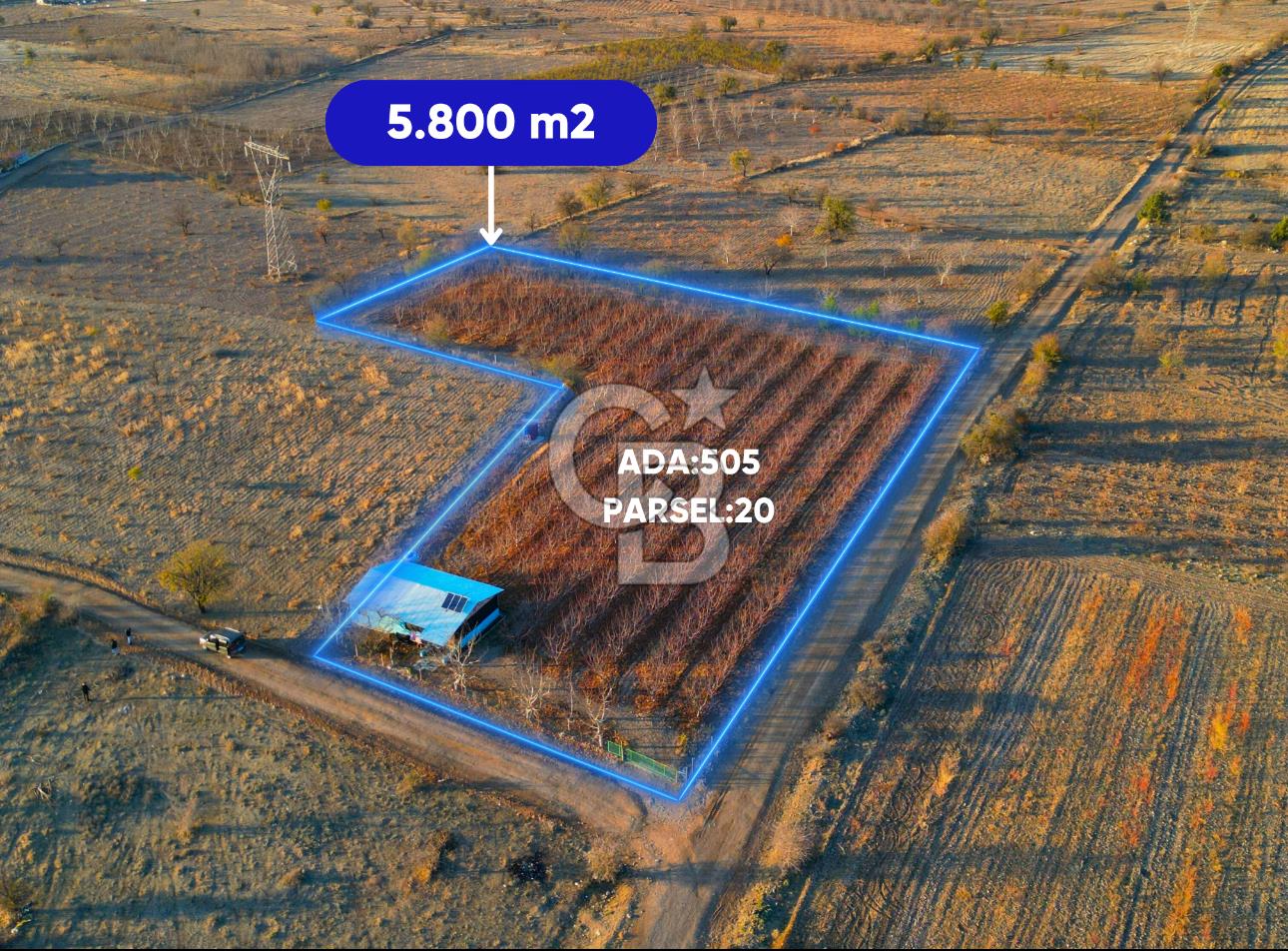 Baklan'da Satılık Kiraz Bahçesi