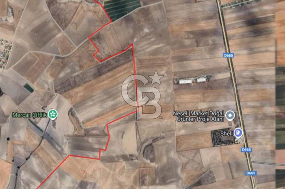 CB CITY'DEN ESKİŞEHİR ''YUKARIÇAĞLAN'' DA SATILIK TARLA