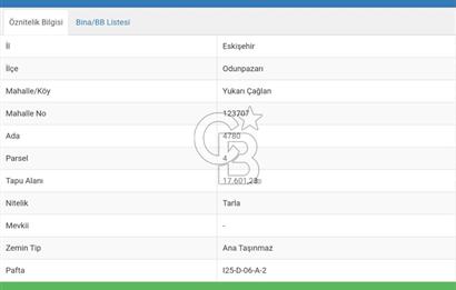 CB CITY'DEN ESKİŞEHİR ''YUKARIÇAĞLAN'' DA SATILIK TARLA