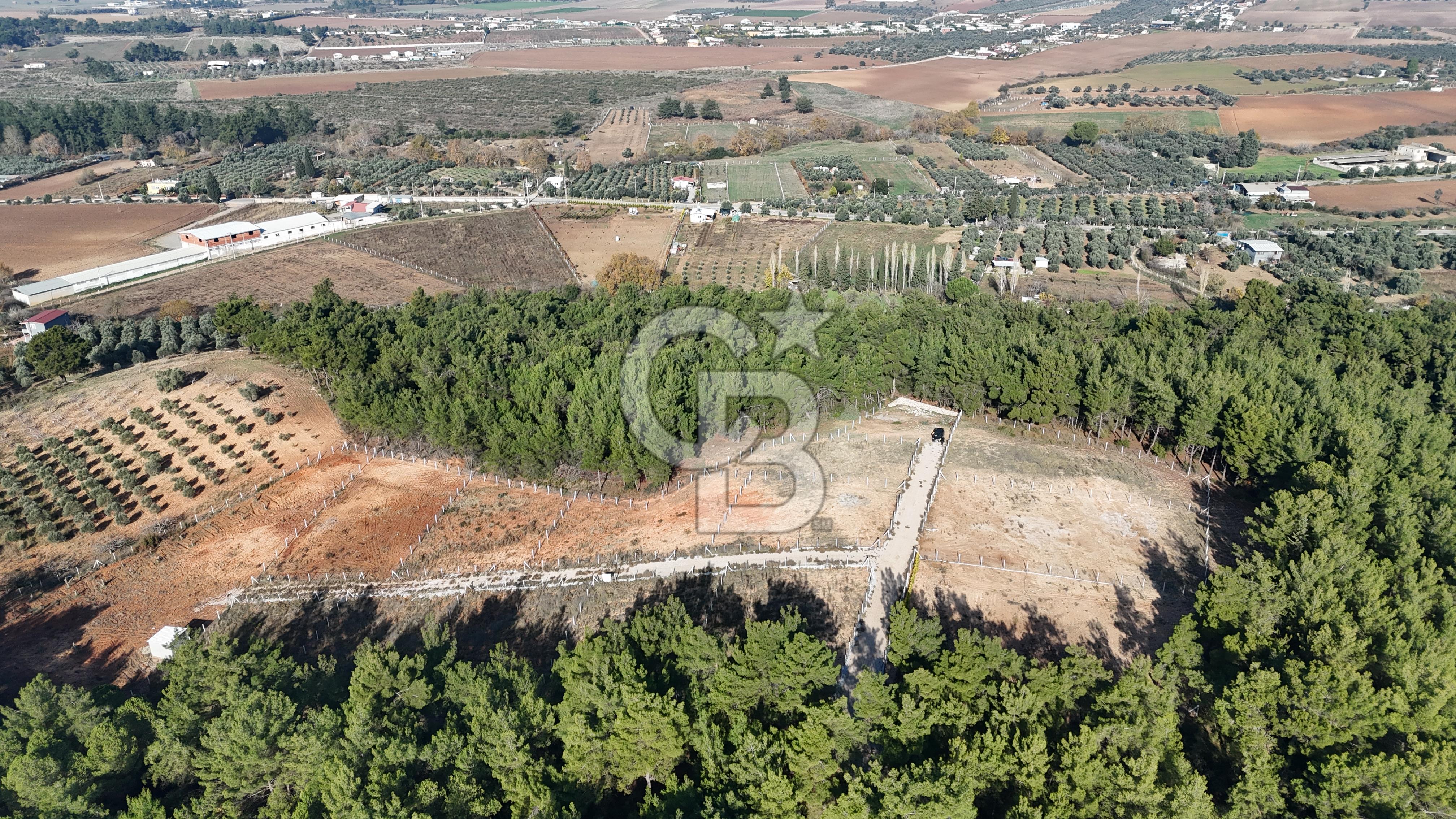 İzmir, Torbalı, Demirci Mah. Satılık Tarla