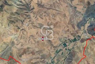 ELMADAĞ DELİLLER SATILIK 12.812 M2 TARLA