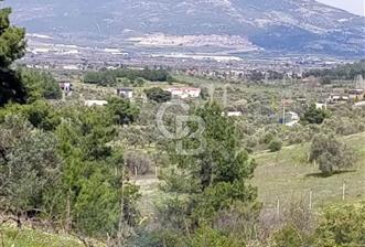 İzmir Kemalpaşa Yukarıkızılca'da Satılık Arazi 