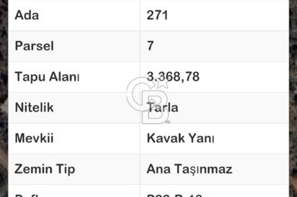 KAŞ/KALKAN/ÇAVDIR'DA TEK VE KÖK TAPU DENİZ MANZARALI TARLA