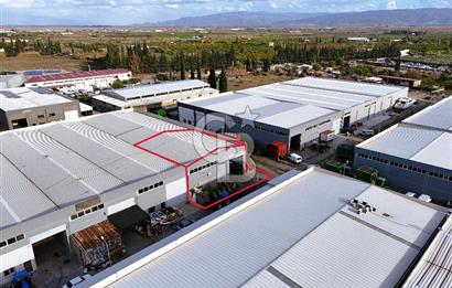 AYDIN SÖKE OSB'DE 600m² KULLANIM ALANLI KİRACILI SATILIK DÜKKAN
