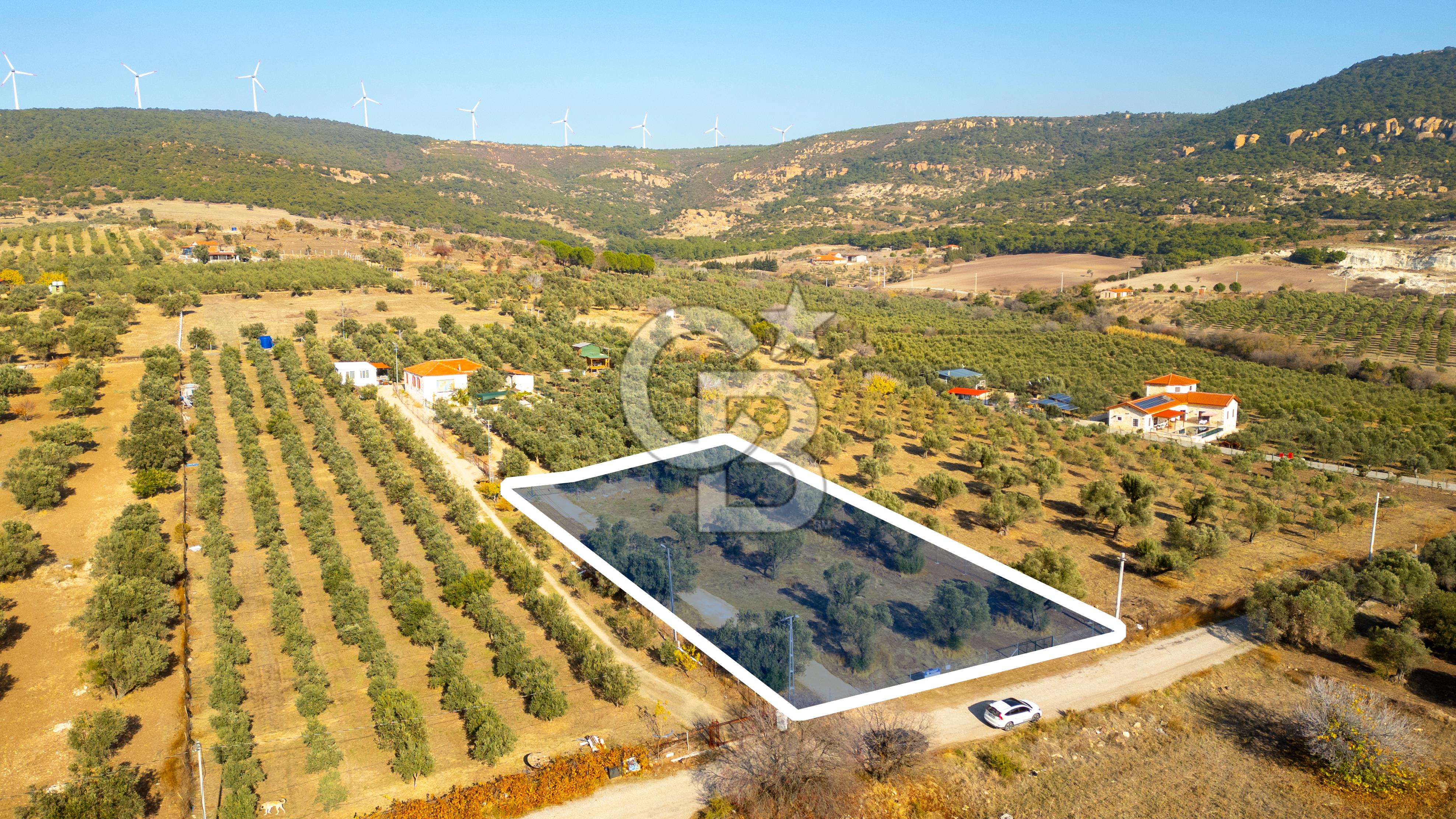 Foça Kocamehmetler'de Yol Üzeri Satılık 2 Dönüm Tarla