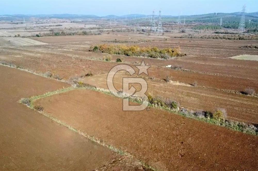 ÇANAKKALE BİGA BEKİRLİ YOLU OLAN YATIRIMLK 2100 M2 SATILIK TARLA