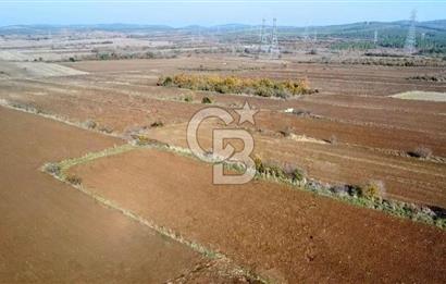 ÇANAKKALE BİGA BEKİRLİ YOLU OLAN YATIRIMLK 2100 M2 SATILIK TARLA