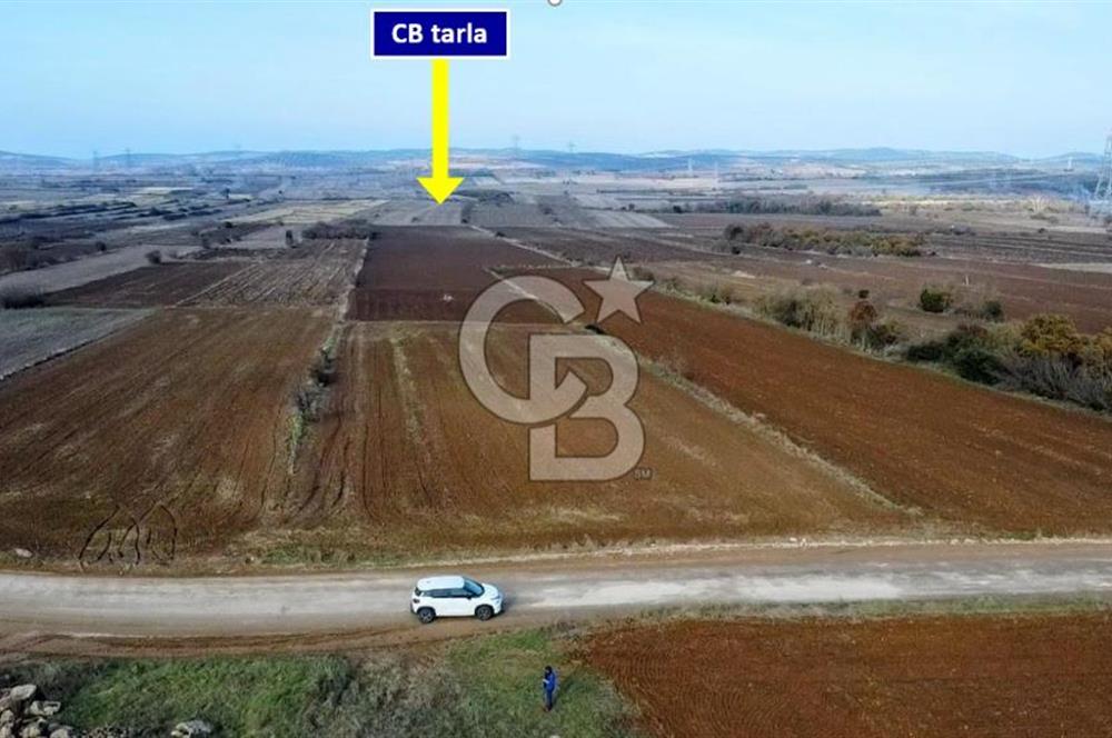 ÇANAKKALE BİGA BEKİRLİ YOLU OLAN YATIRIMLK 2100 M2 SATILIK TARLA