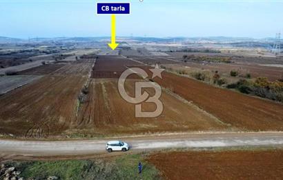 ÇANAKKALE BİGA BEKİRLİ YOLU OLAN YATIRIMLK 2100 M2 SATILIK TARLA