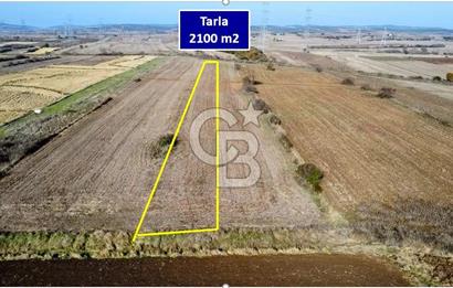 ÇANAKKALE BİGA BEKİRLİ YOLU OLAN YATIRIMLK 2100 M2 SATILIK TARLA
