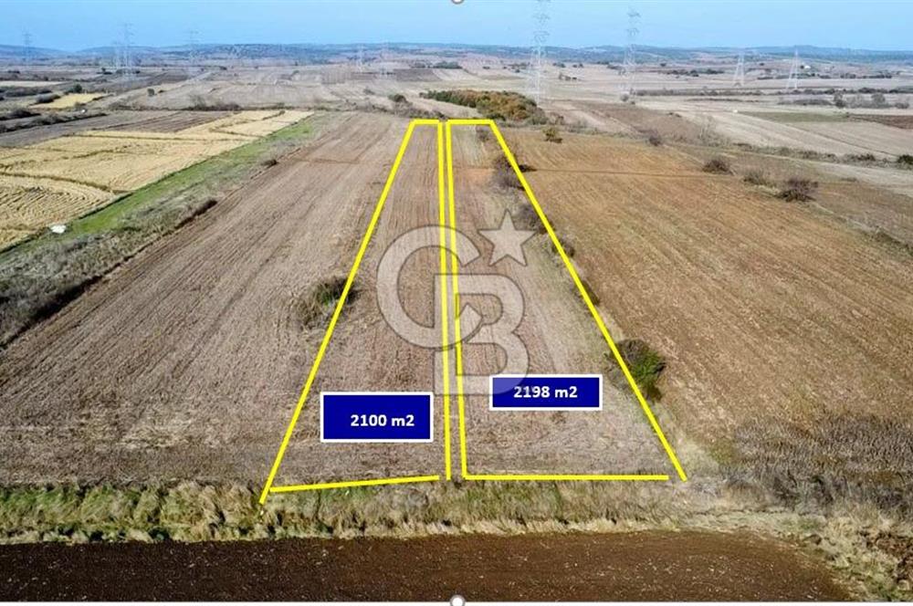 ÇANAKKALE BİGA BEKİRLİ YOLU OLAN YATIRIMLK 2100 M2 SATILIK TARLA