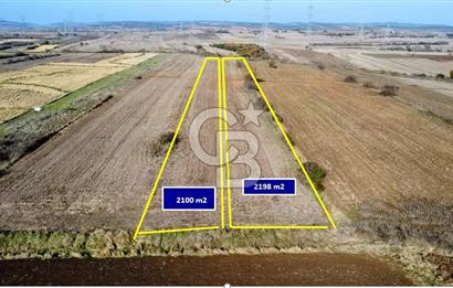 ÇANAKKALE BİGA BEKİRLİ YOLU OLAN YATIRIMLK 2100 M2 SATILIK TARLA