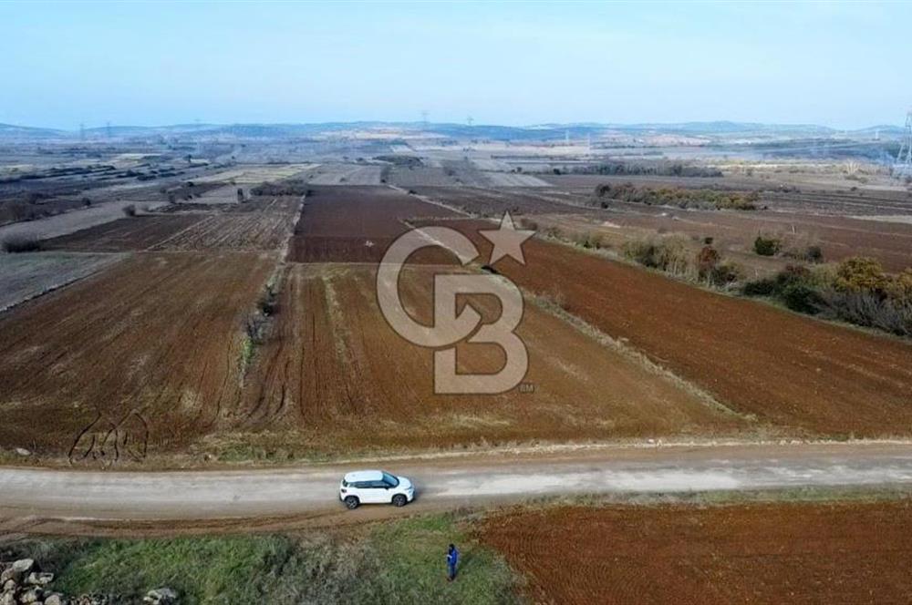ÇANAKKALE BİGA BEKİRLİ YOLU OLAN YATIRIMLK 2100 M2 SATILIK TARLA