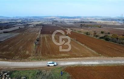 ÇANAKKALE BİGA BEKİRLİ YOLU OLAN YATIRIMLK 2100 M2 SATILIK TARLA