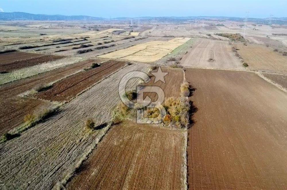 ÇANAKKALE BİGA BEKİRLİ YOLU OLAN YATIRIMLK 2100 M2 SATILIK TARLA