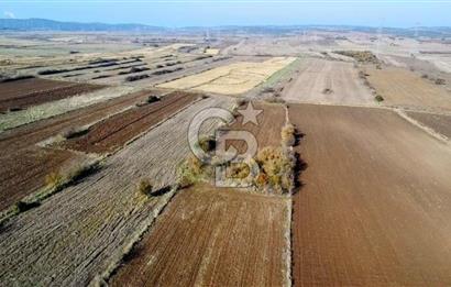 ÇANAKKALE BİGA BEKİRLİ YOLU OLAN YATIRIMLK 2100 M2 SATILIK TARLA