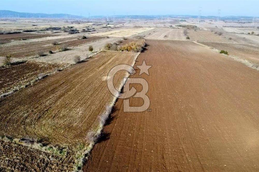 ÇANAKKALE BİGA BEKİRLİ YOLU OLAN YATIRIMLK 2100 M2 SATILIK TARLA