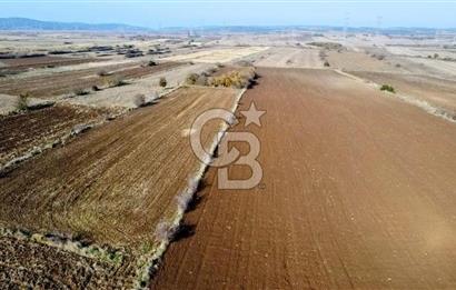 ÇANAKKALE BİGA BEKİRLİ YOLU OLAN YATIRIMLK 2100 M2 SATILIK TARLA