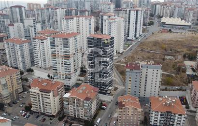 pamuklarda sıfır 4+1