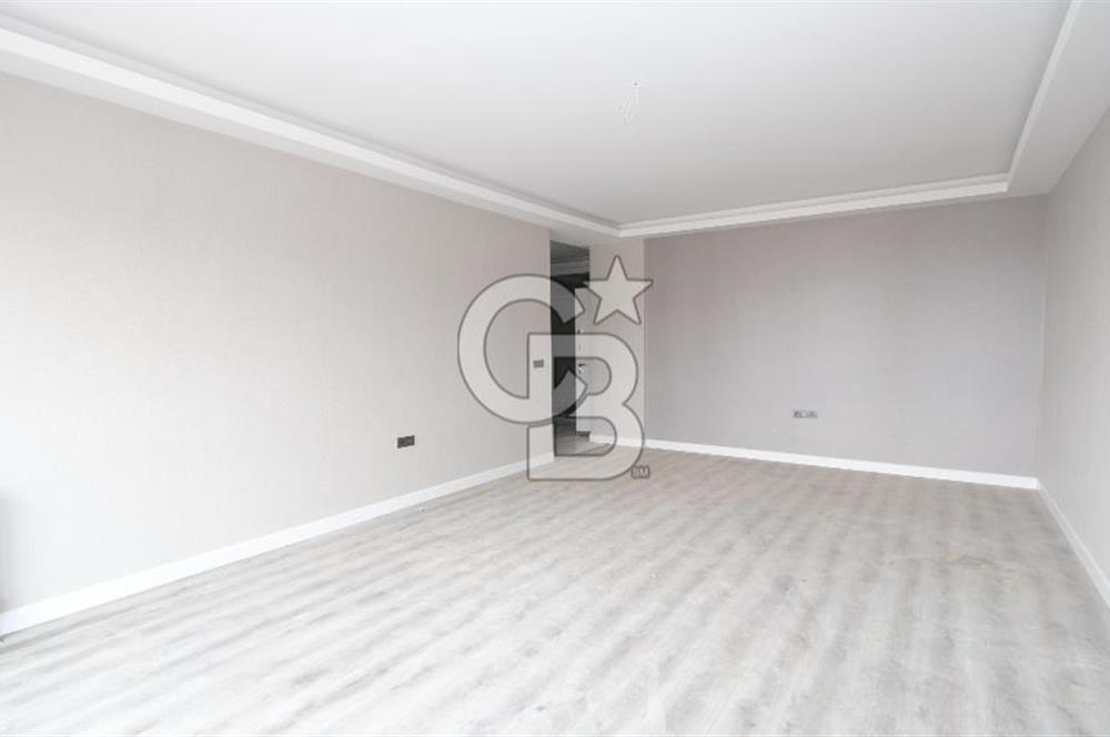 pamuklarda sıfır 4+1