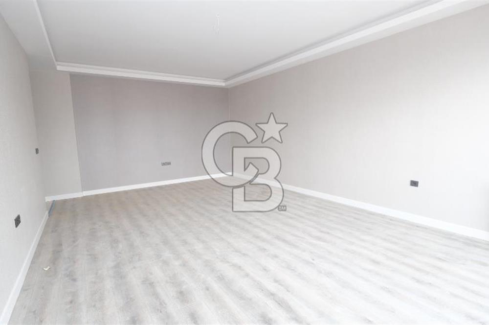 pamuklarda sıfır 4+1