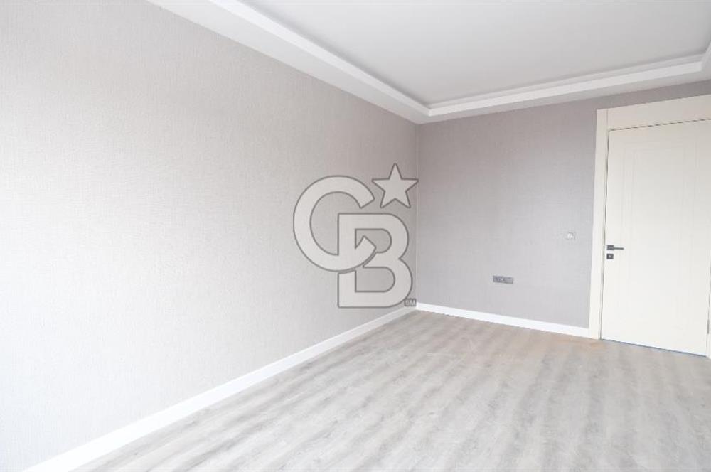 pamuklarda sıfır 4+1