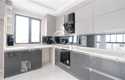 pamuklarda sıfır 4+1