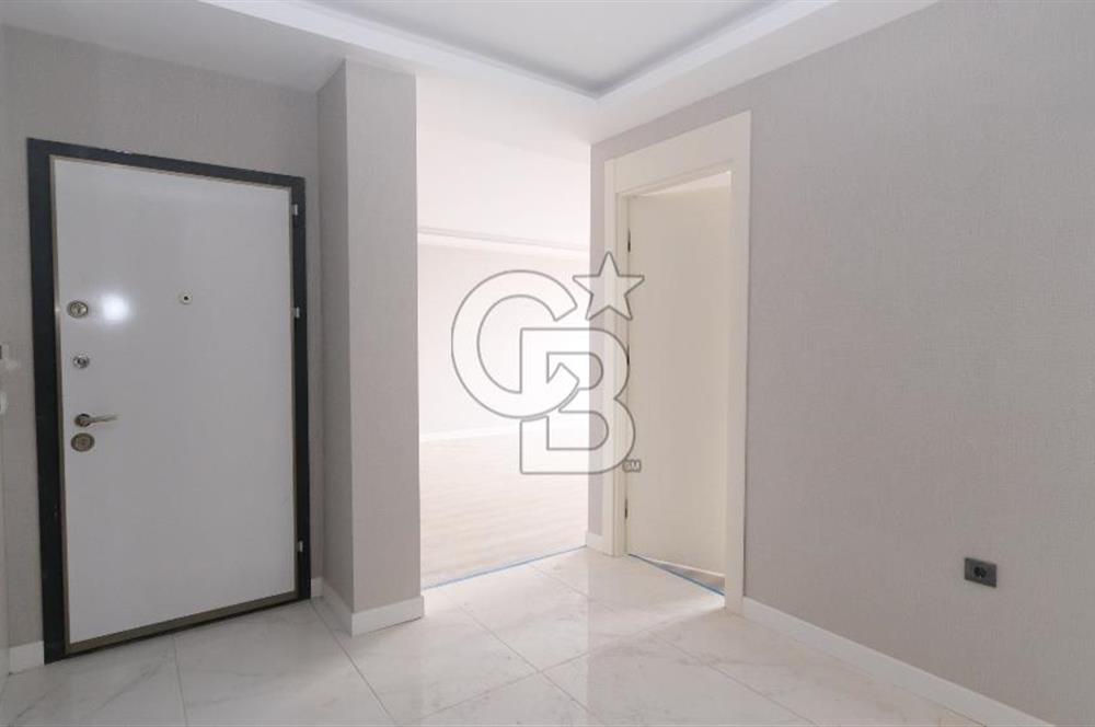 pamuklarda sıfır 4+1