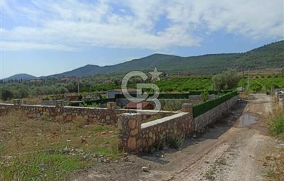 Kavakdere'de Asfalt Yol Kenarında Satılık Arsa