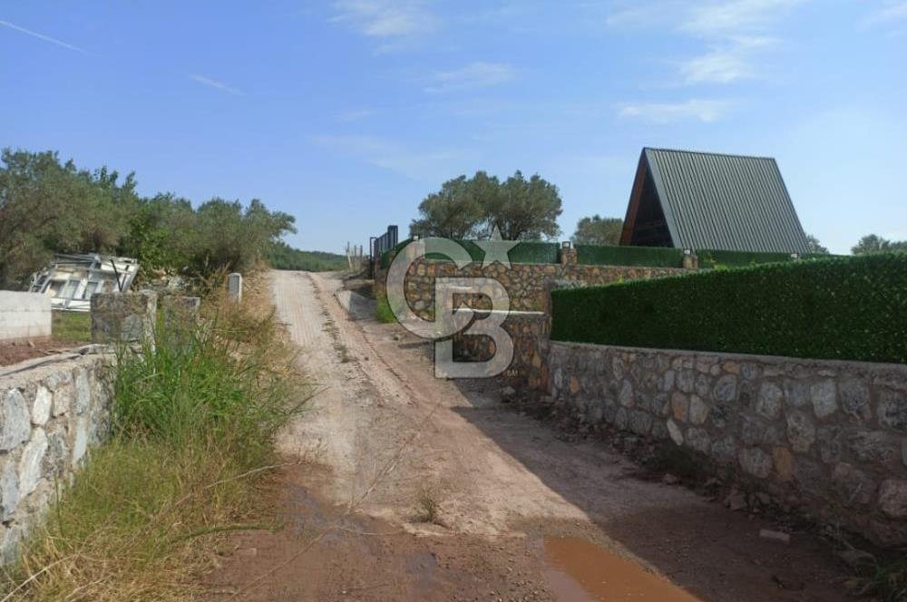 Kavakdere'de Asfalt Yol Kenarında Satılık Arsa