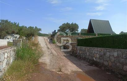 Kavakdere'de Asfalt Yol Kenarında Satılık Arsa