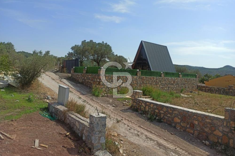 Kavakdere'de Asfalt Yol Kenarında Satılık Arsa