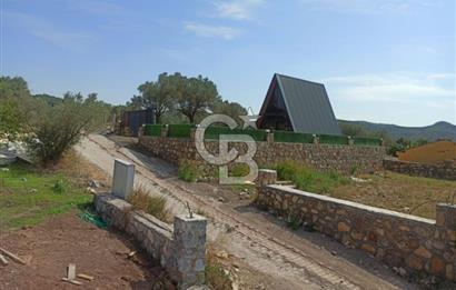 Kavakdere'de Asfalt Yol Kenarında Satılık Arsa
