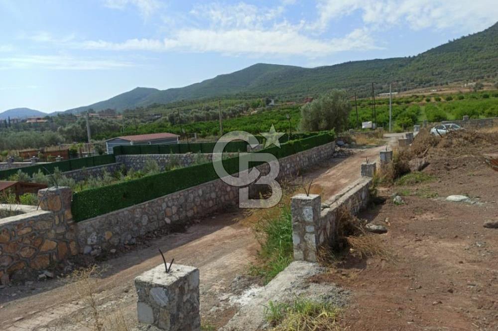 Kavakdere'de Asfalt Yol Kenarında Satılık Arsa