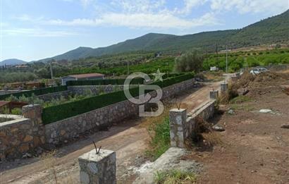 Kavakdere'de Asfalt Yol Kenarında Satılık Arsa