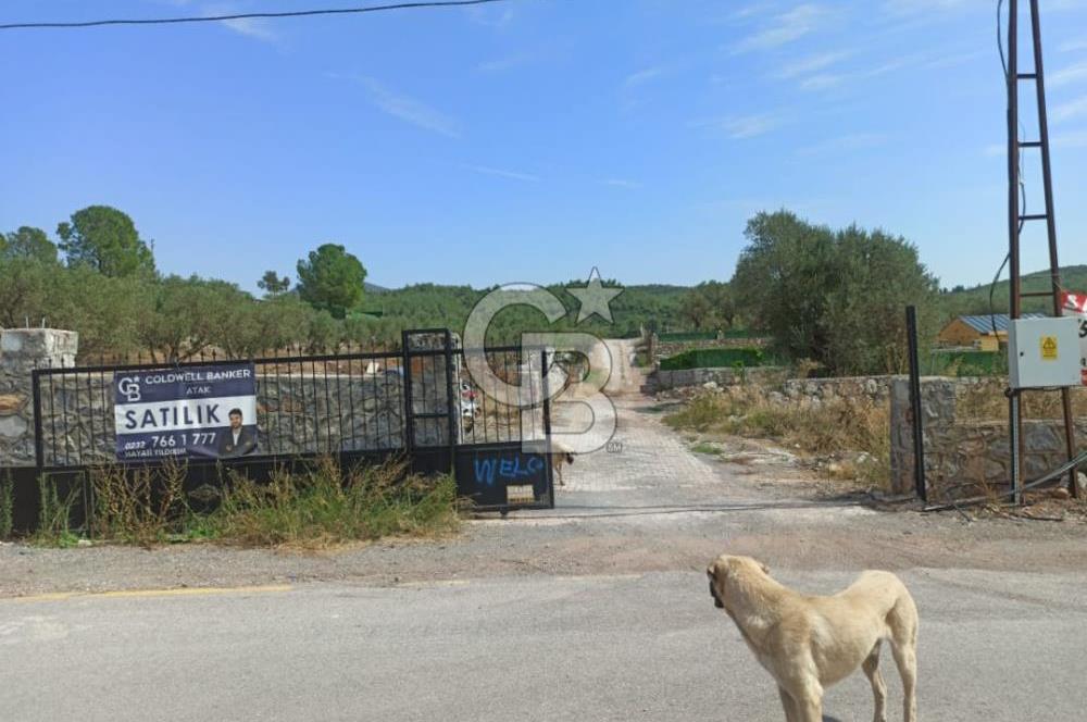 Kavakdere'de Asfalt Yol Kenarında Satılık Arsa