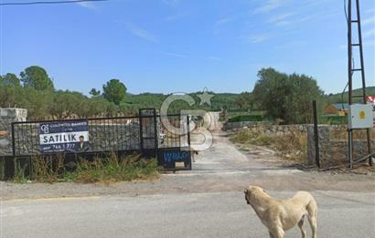 Kavakdere'de Asfalt Yol Kenarında Satılık Arsa