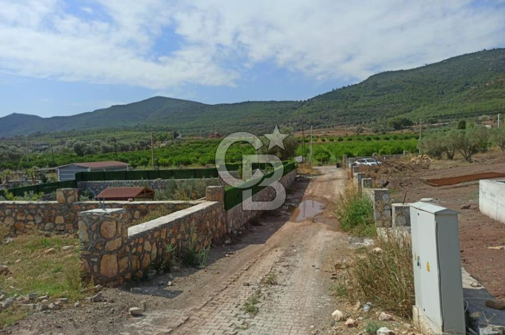 Kavakdere'de Asfalt Yol Kenarında Satılık Arsa