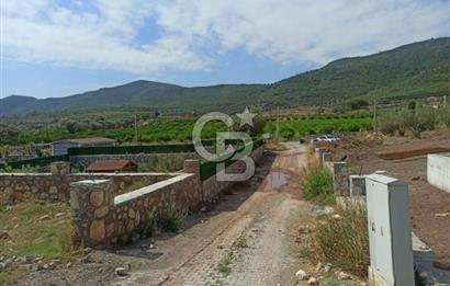 Kavakdere'de Asfalt Yol Kenarında Satılık Arsa