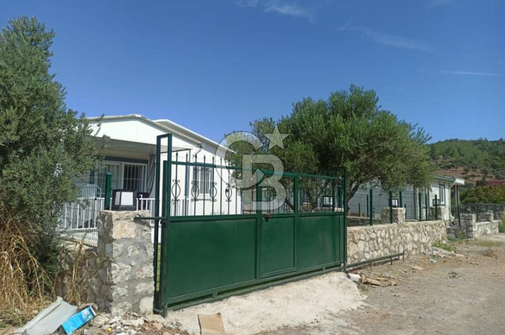 Kavakdere'de Asfalt Yol Kenarında Satılık Arsa
